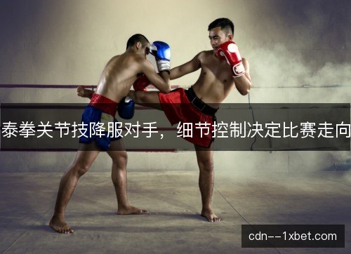 泰拳关节技降服对手，细节控制决定比赛走向